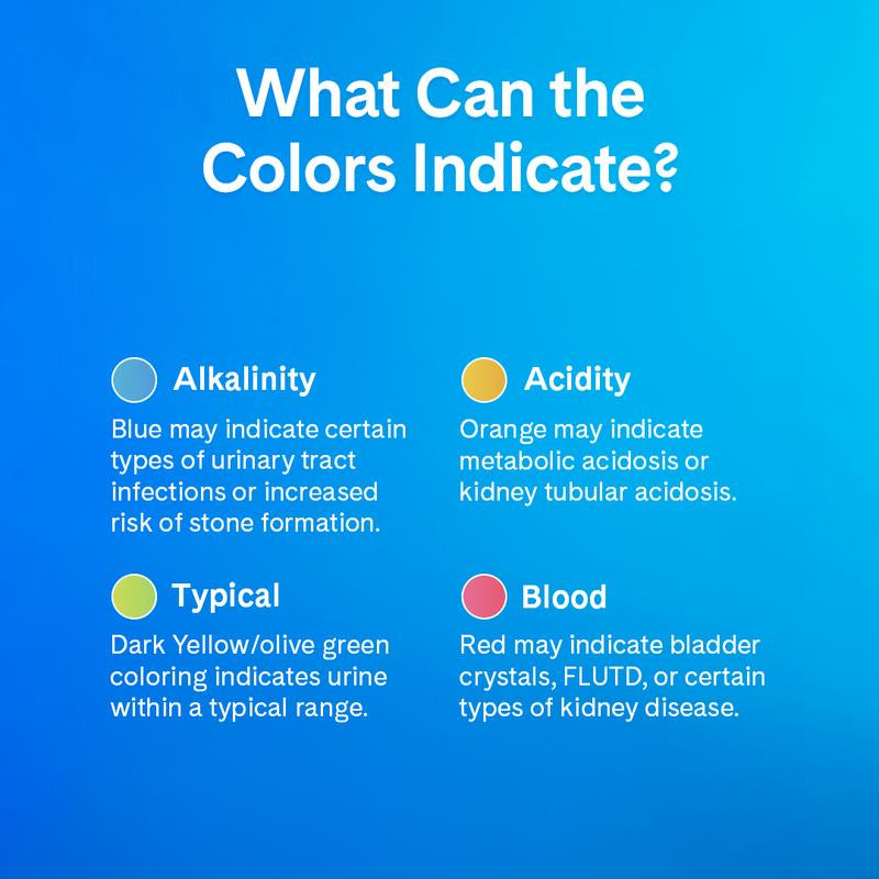 Prettylitter Original Unscented Cat Litter, 6Lb