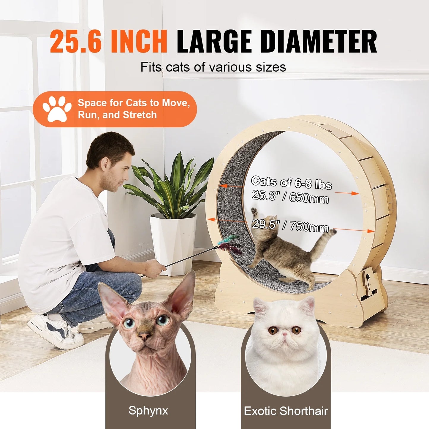 Cat Exercise Wheel, Large Cat Treadmill Wheel for Indoor Cats, 29.5 Inch Cat Running Wheel with Detachable Carpet and Cat Teaser for Running/Walking/Training, Suitable for Most Cats