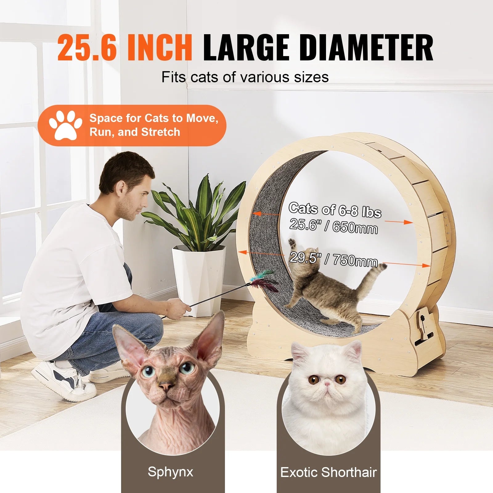 Cat Exercise Wheel, Large Cat Treadmill Wheel for Indoor Cats, 29.5 Inch Cat Running Wheel with Detachable Carpet and Cat Teaser for Running/Walking/Training, Suitable for Most Cats