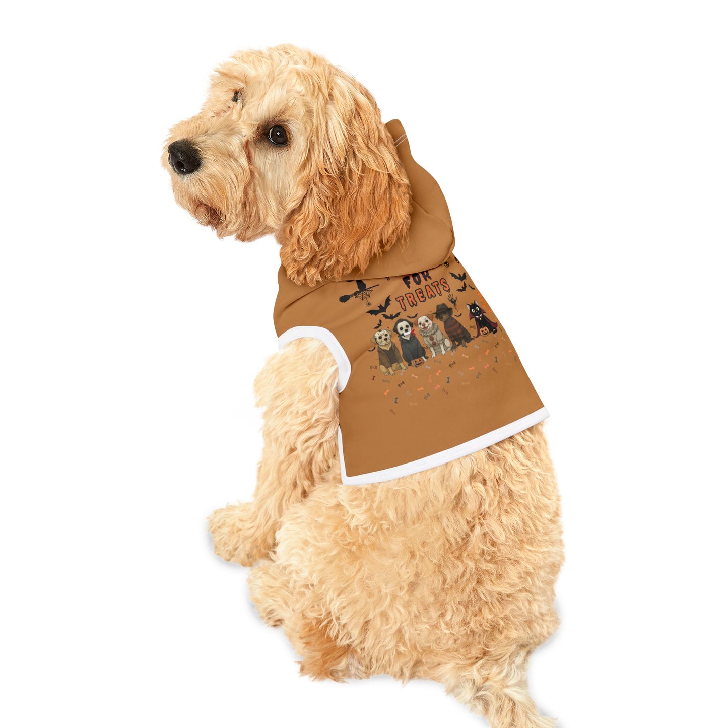 Halloween Pet Hoodie, Cute Dog Sweater, Cozy Cat Apparel, Trick or Treat Costume, Pet Holiday Gift